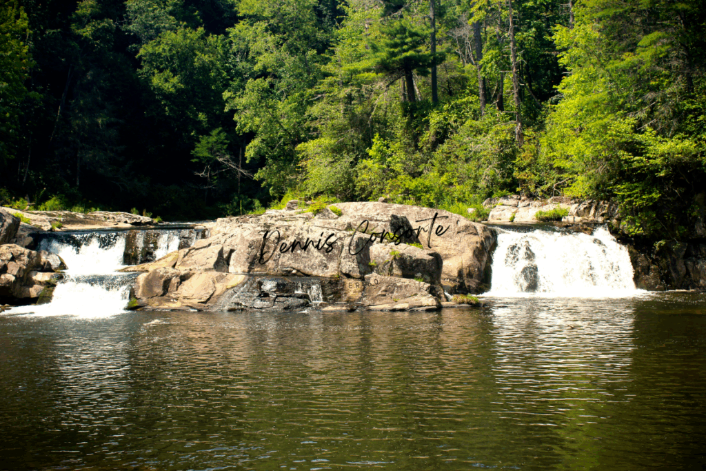 Twin Falls