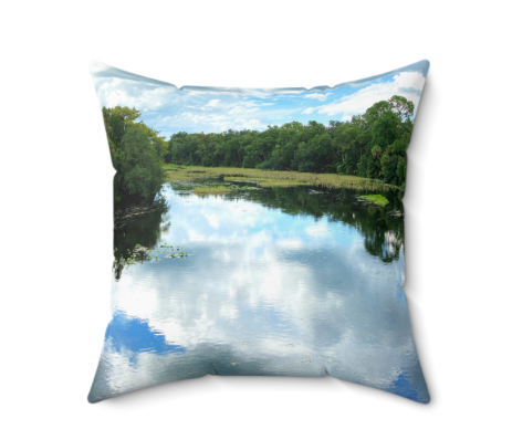 Throw Pillow Alexander Springs Creek