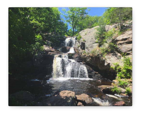 Chapman Falls Matte Canvas Print