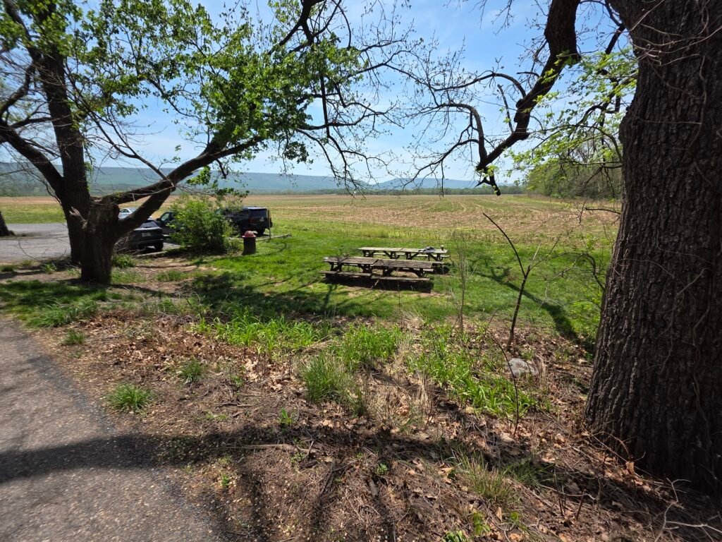 Picnic Area at Meems Bottom Covered Bridge