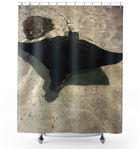Shower Curtain Marine Life