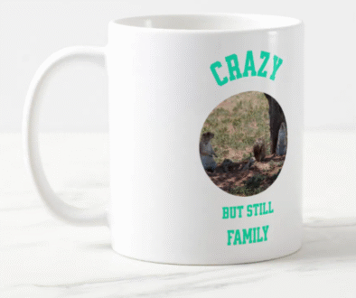 Crazy But Still Family Ceramic Mug
