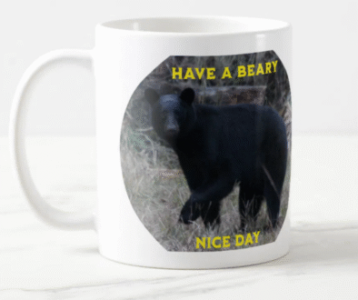 Have A Beary Nice Day Ceramic Mug
