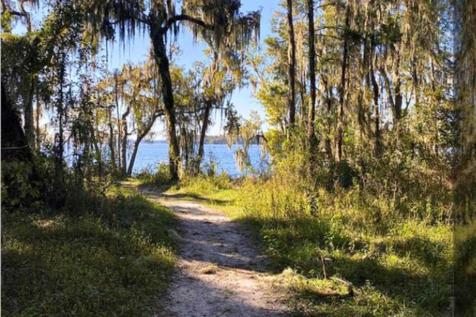 Trail By The River Canvas Print by Dennis Consorte