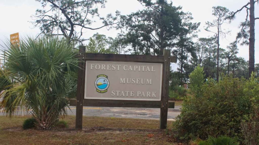 Forest Capital Museum State Park